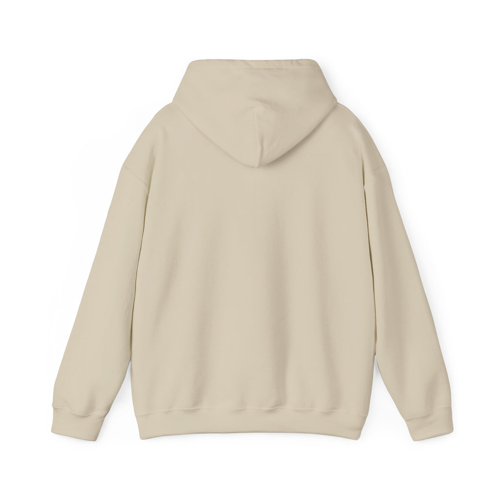 Respect the Locals “Protect Our Parks” Hoodie | National Parks, Leave No Trace