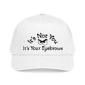 It's Your Eyebrows Mid Profile Baseball Cap