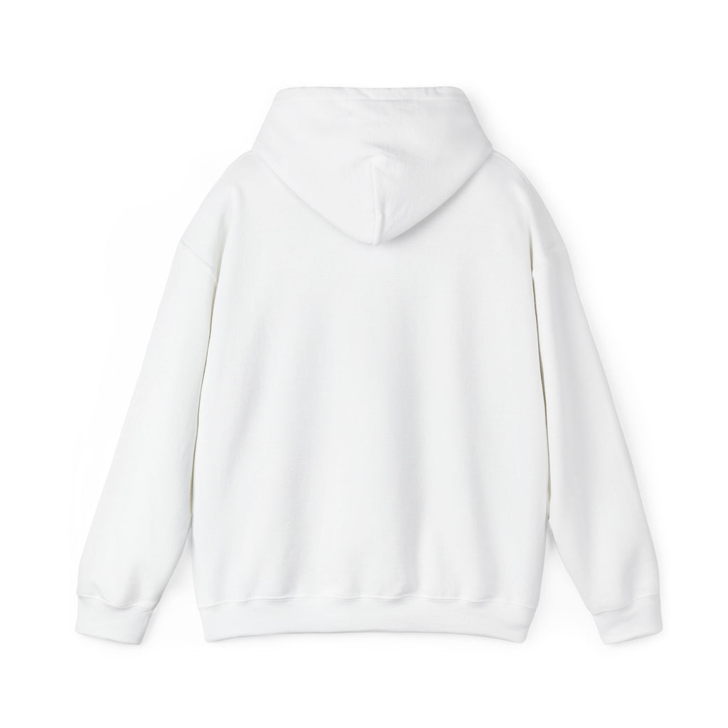 Respect the Locals “Protect Our Parks” Hoodie | National Parks, Leave No Trace