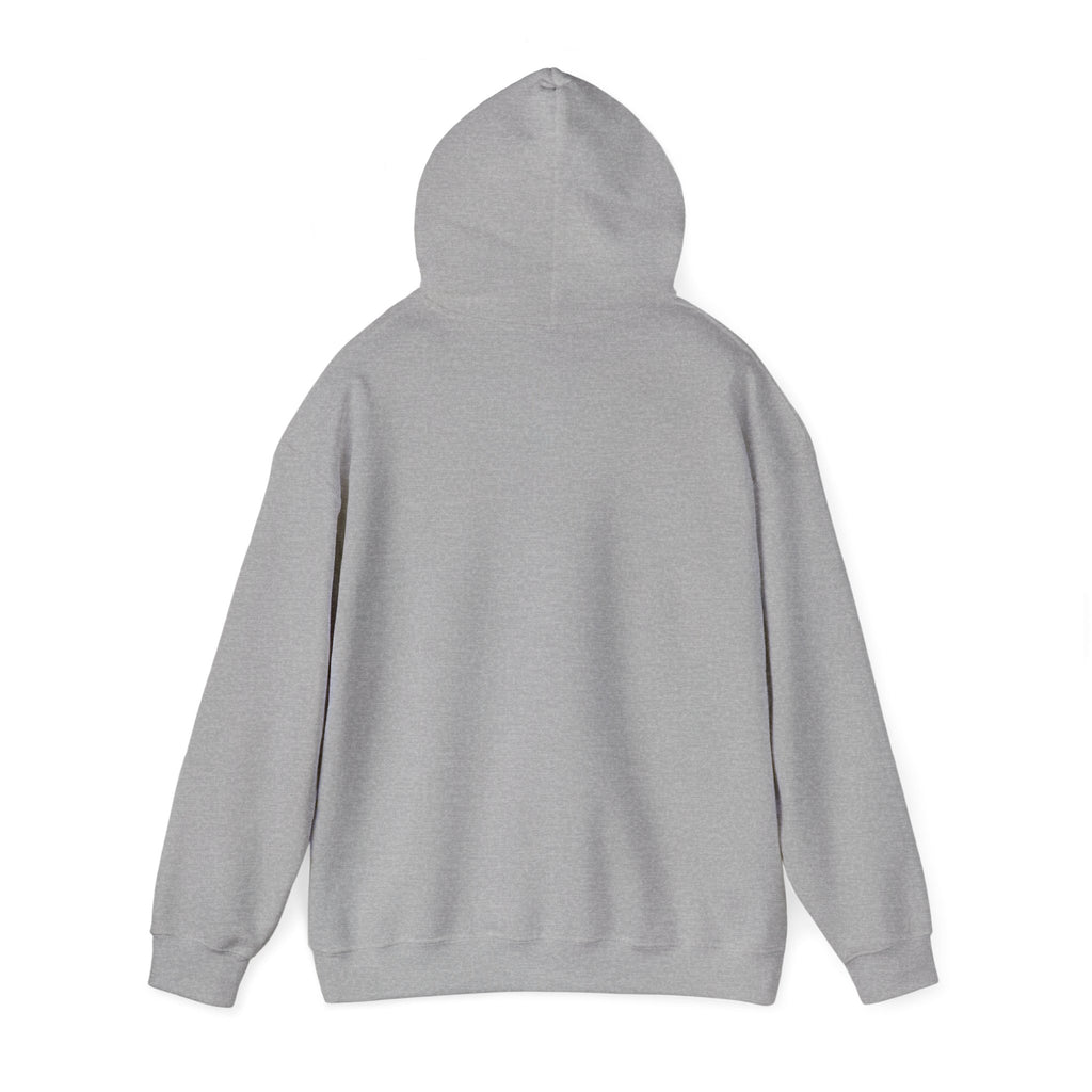 Respect the Locals “Protect Our Parks” Hoodie | National Parks, Leave No Trace