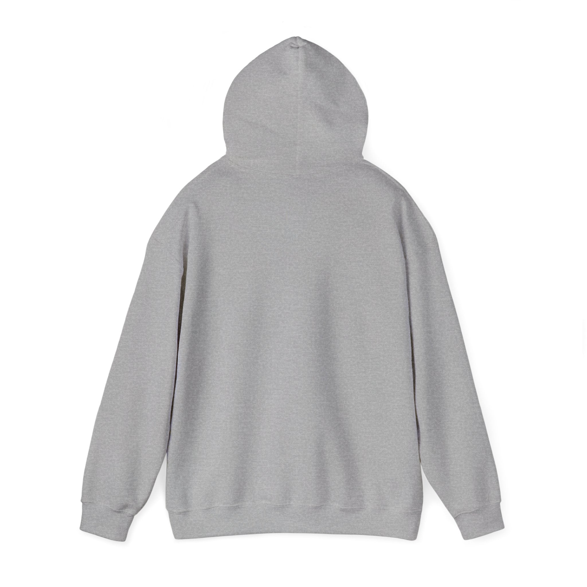 Respect the Locals “Protect Our Parks” Hoodie | National Parks, Leave No Trace