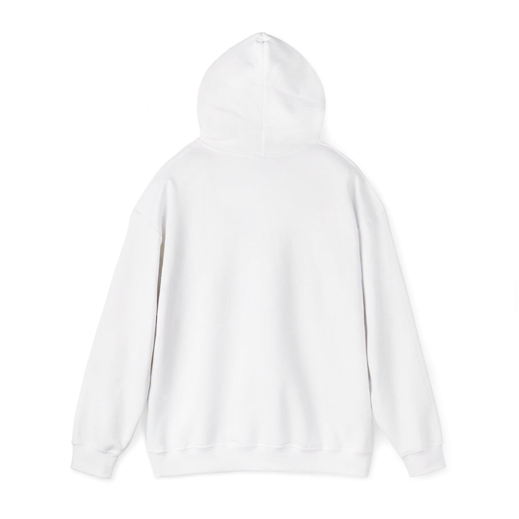 Respect the Locals “Protect Our Parks” Hoodie | National Parks, Leave No Trace
