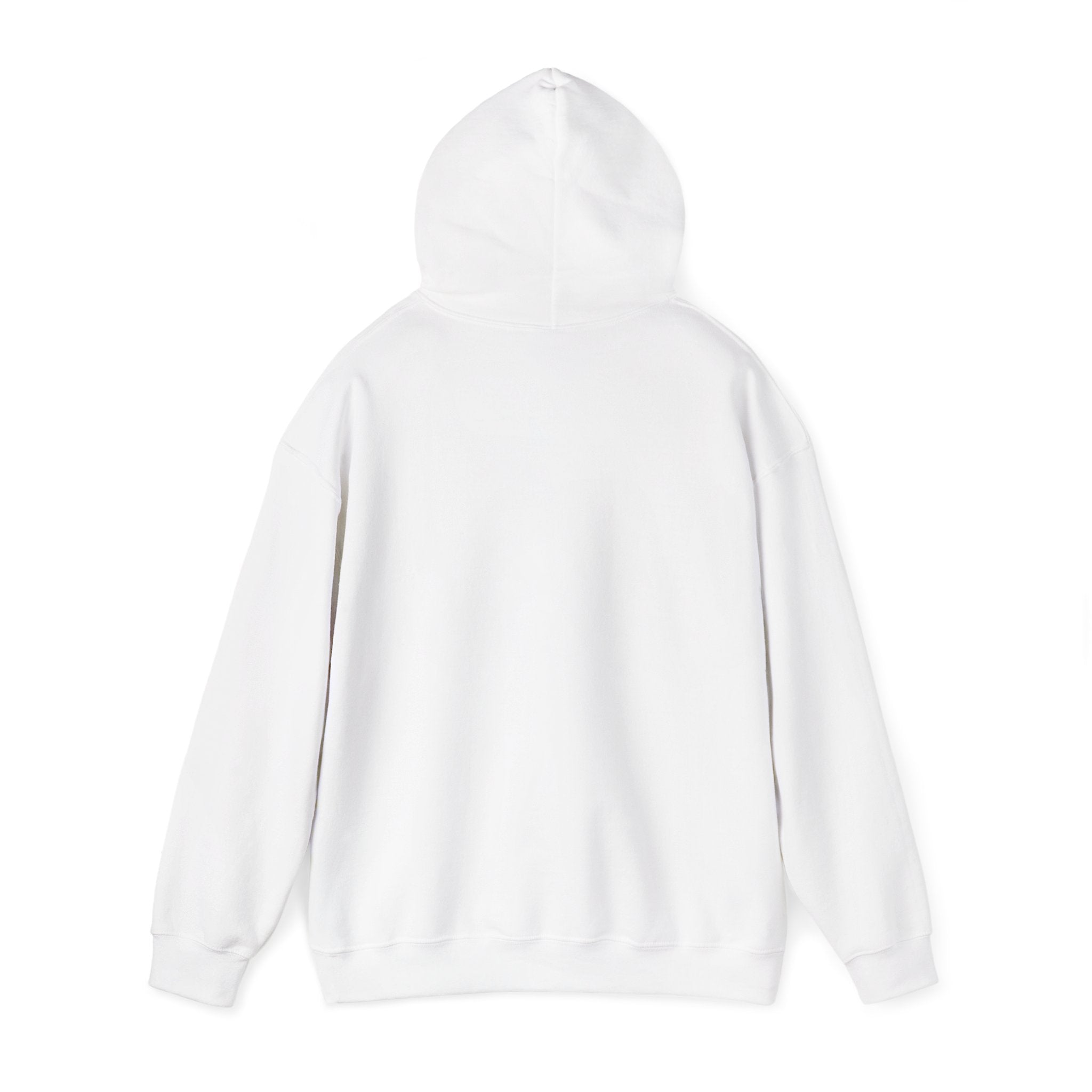 Respect the Locals “Protect Our Parks” Hoodie | National Parks, Leave No Trace
