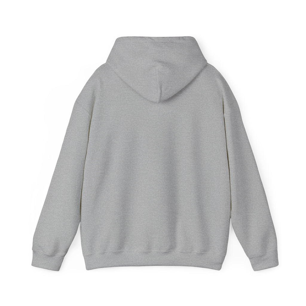 Respect the Locals “Protect Our Parks” Hoodie | National Parks, Leave No Trace