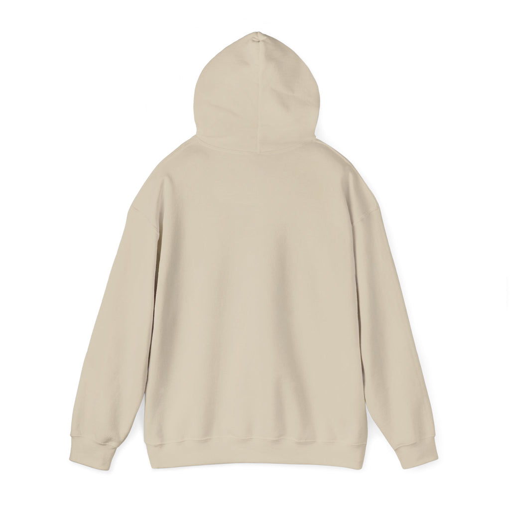 Respect the Locals “Protect Our Parks” Hoodie | National Parks, Leave No Trace