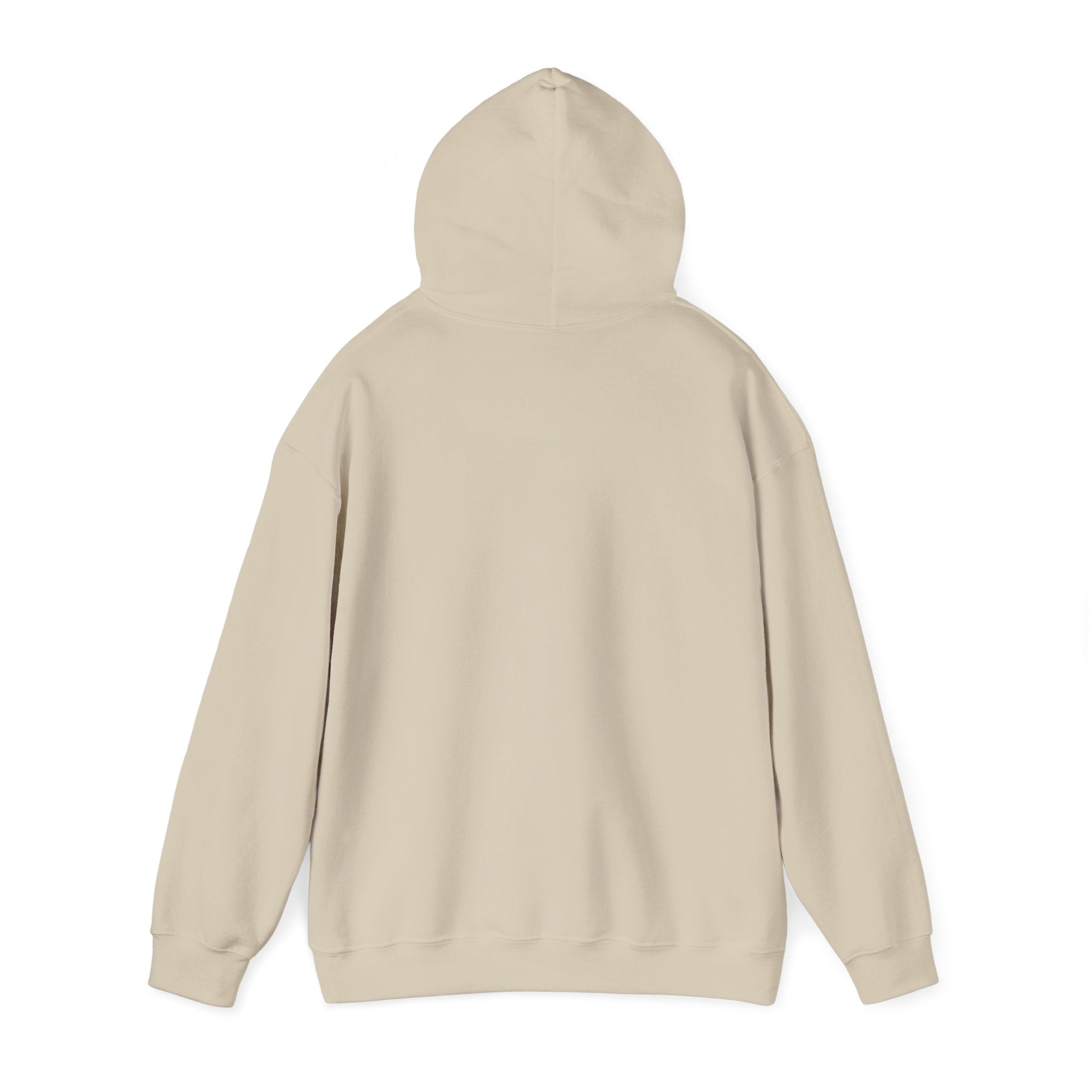 Respect the Locals “Protect Our Parks” Hoodie | National Parks, Leave No Trace